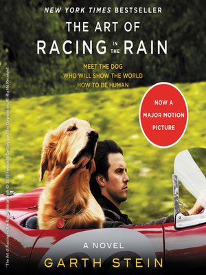 cover image of The Art of Racing in the Rain